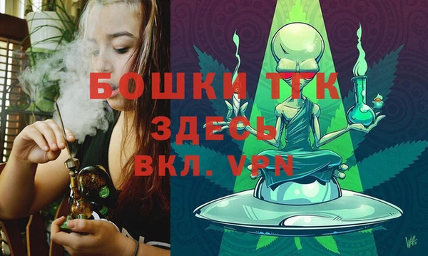 гидра Алексеевка