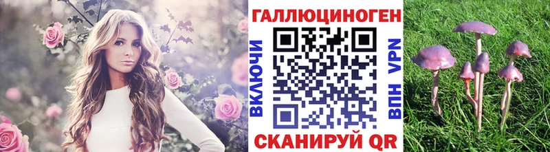 blacksprut зеркало  Когалым  Галлюциногенные грибы мухоморы 