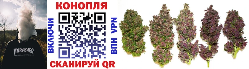 где найти   Когалым  Каннабис THC 21% 